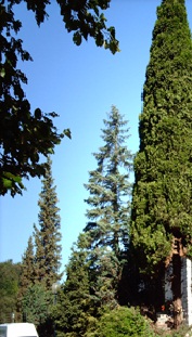 lagage/abattage