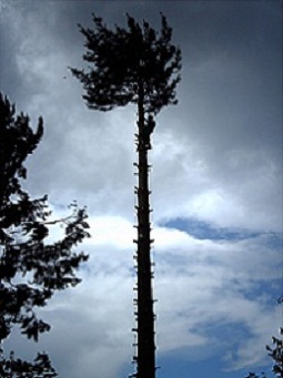 photo de chantier