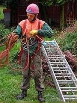 photo du patron de lentreprise